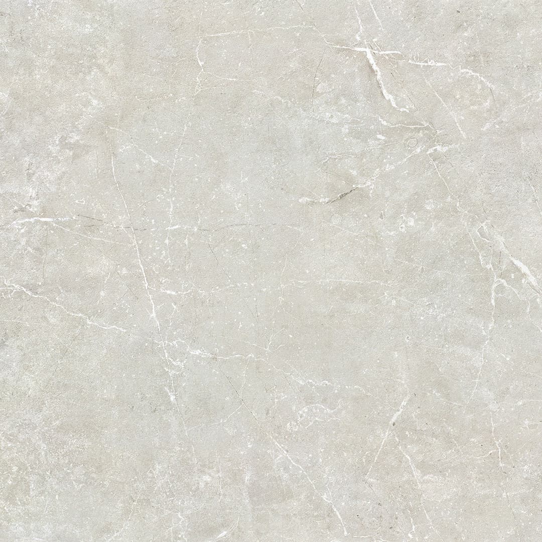 Delta Silver Polished, photo 1