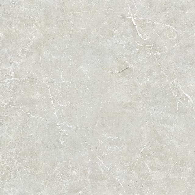 Delta Silver Polished