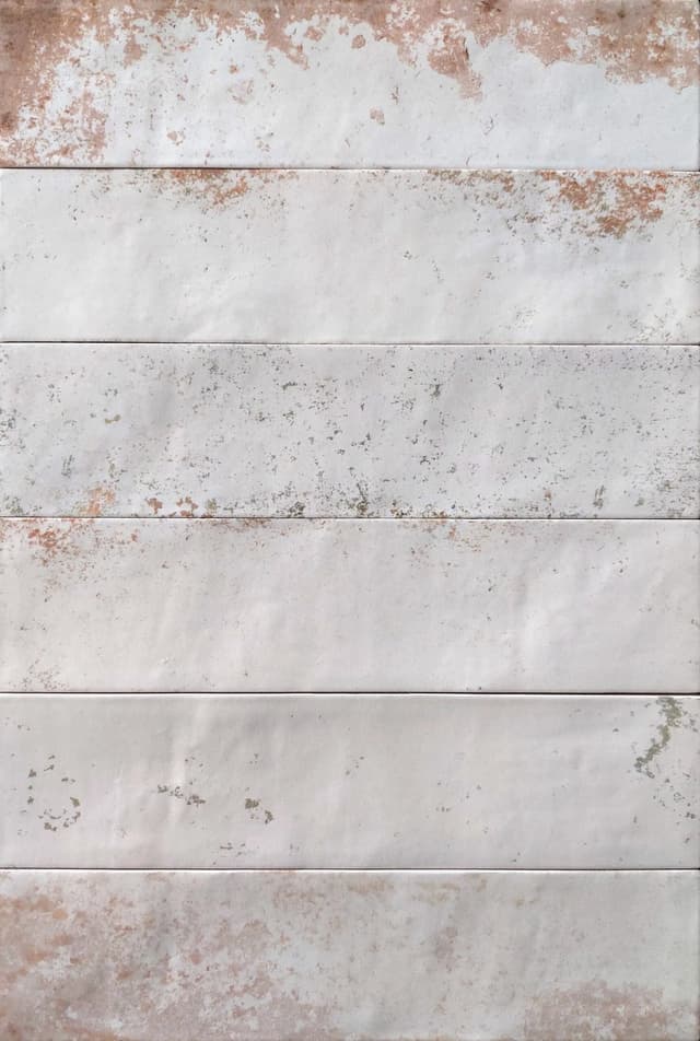 Magnetism White