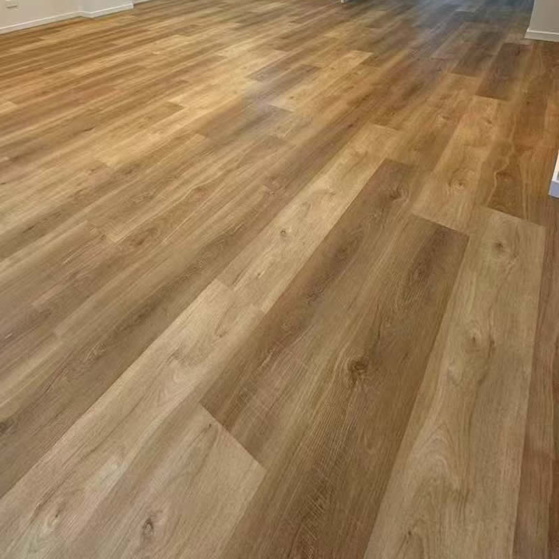 SPC 105 Oak Leaf