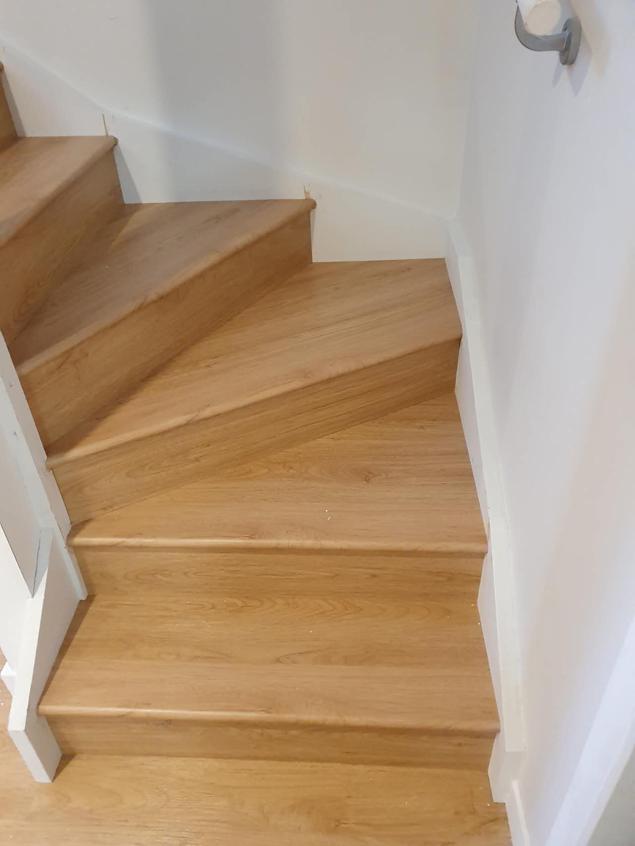 SPC 101 Oak Tree