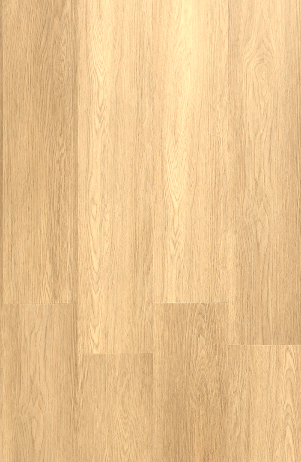 SPC 101 Oak Tree