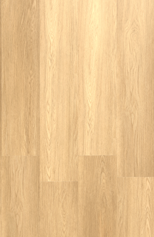 SPC 101 Oak Tree
