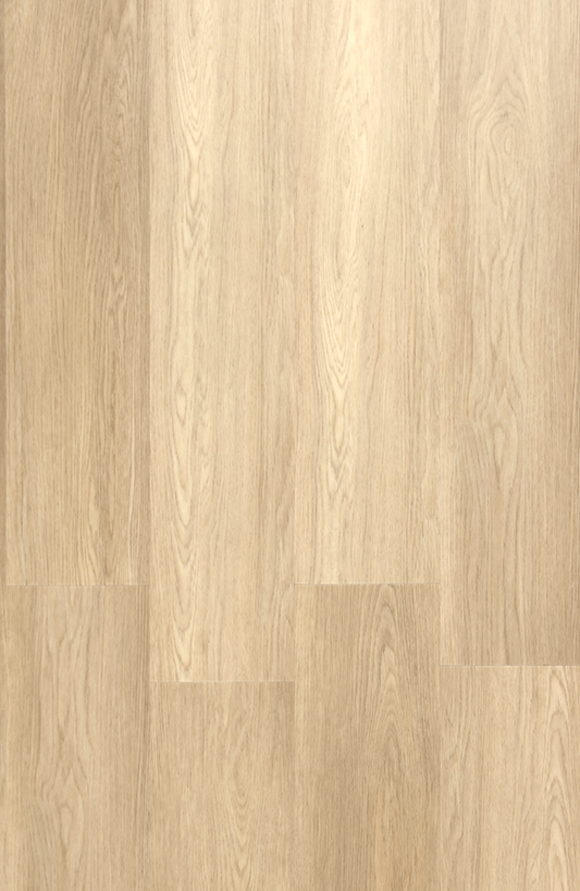 SPC 102 Oak Sapling