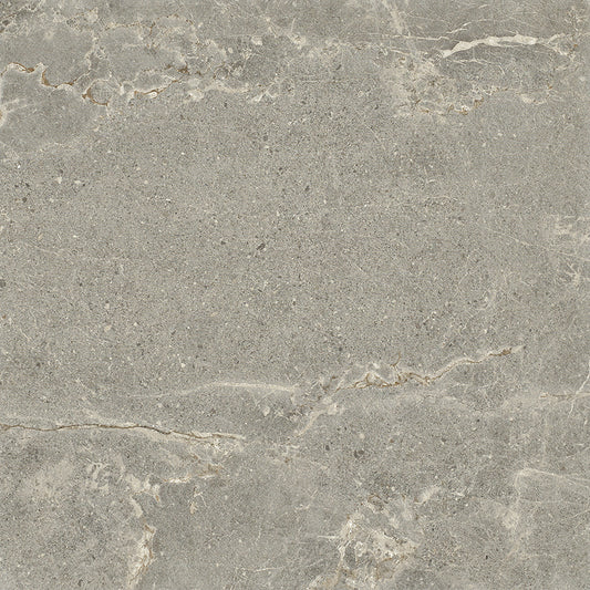 Ardesia Ash Brown 60x60cm | m²