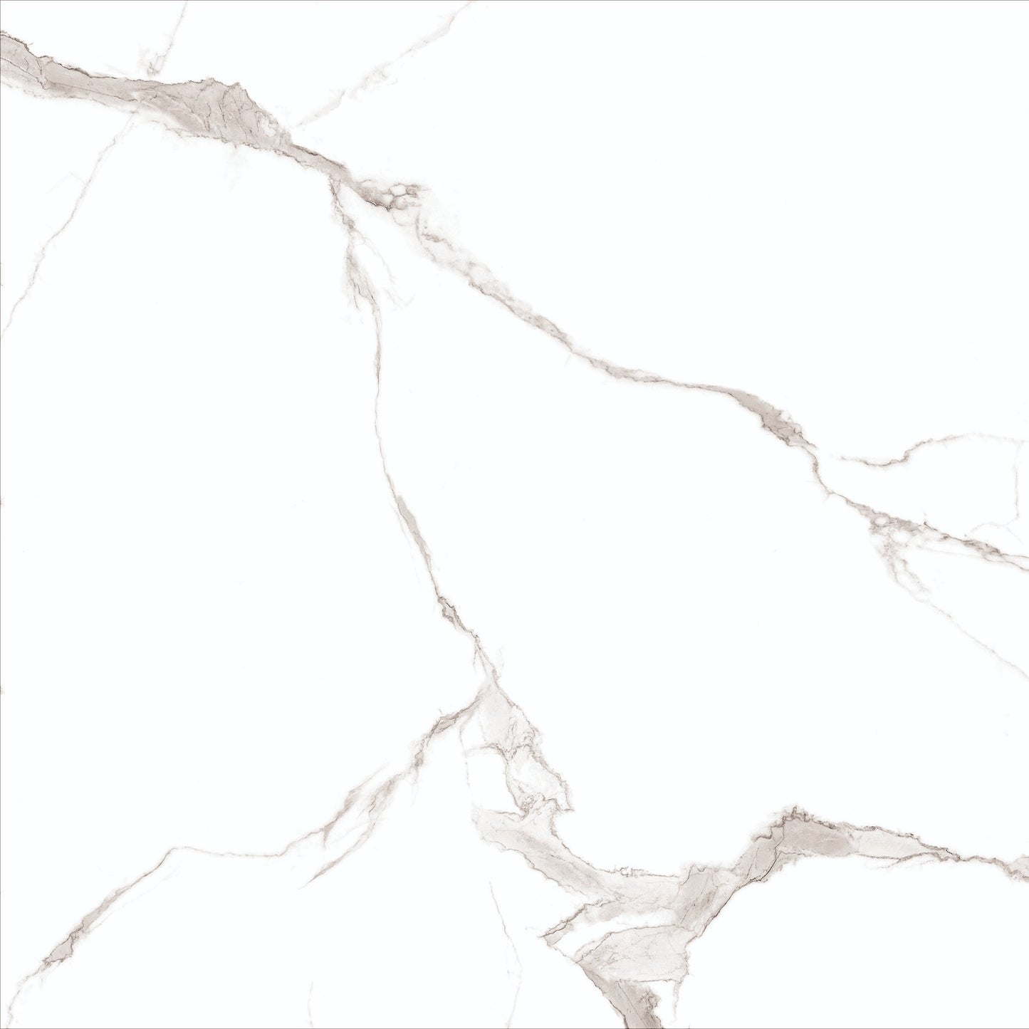 SERENA CALACATTA MATT TILE 60X120 – SQM