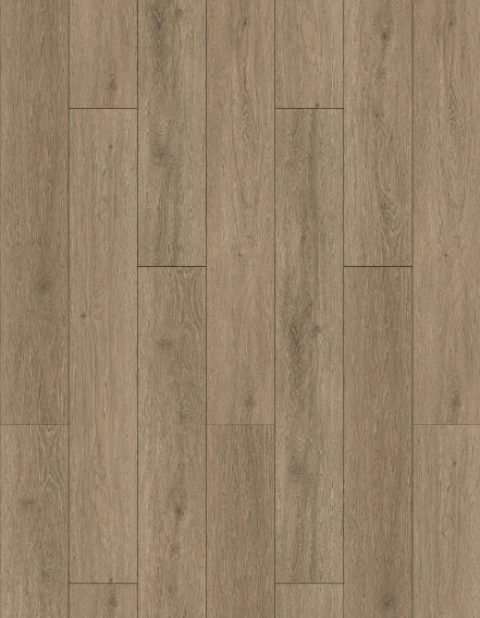 SPC Minnesota Oak 22.8X122cm SQM